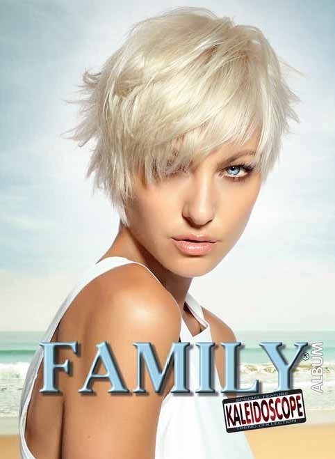 Family Album & DVD 44 OUTLET