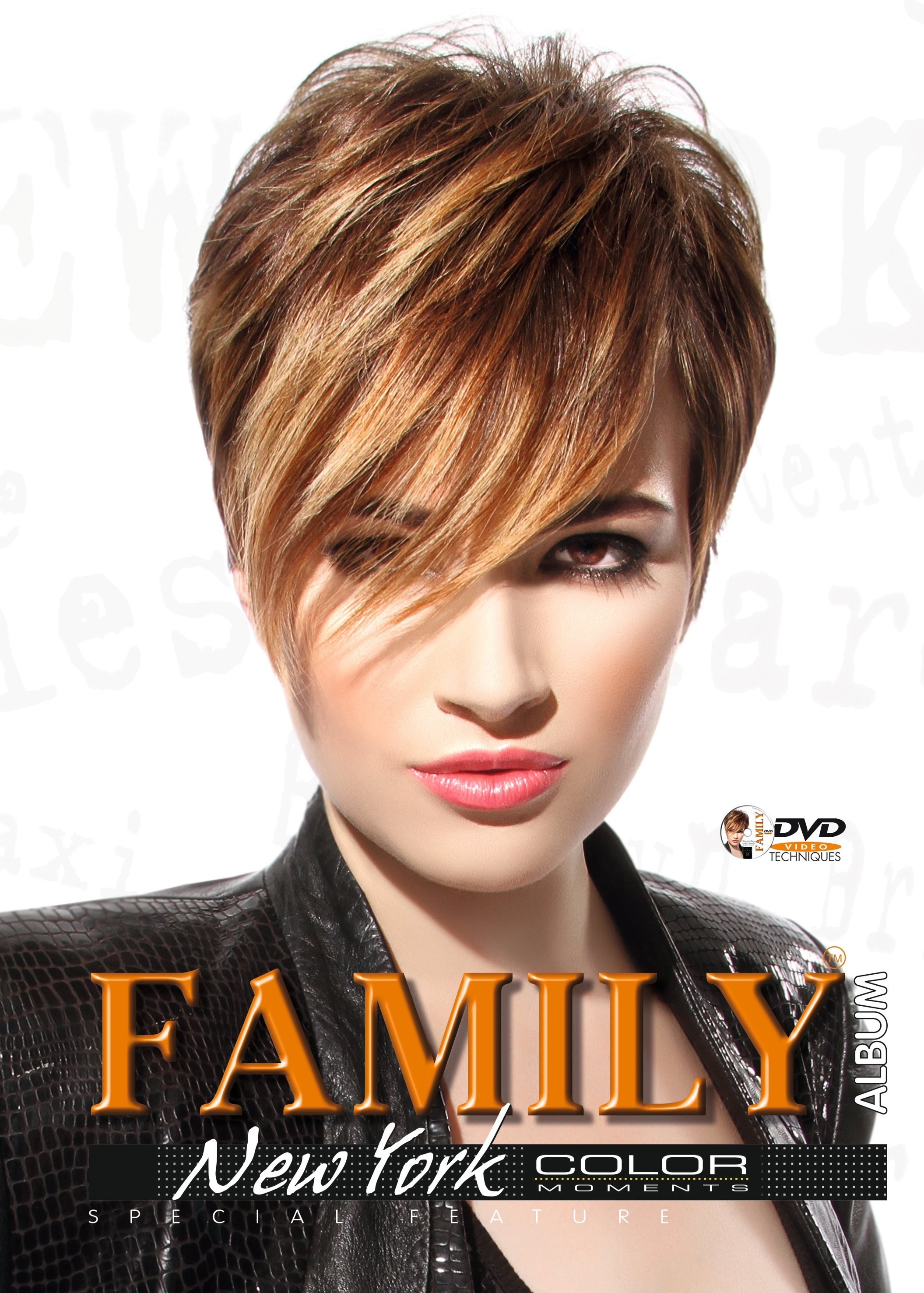 Family Album & DVD 37 OUTLET